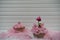 Spring time pink cupcake decorated with a miniature person figurine holding a sign with words Hello Spring and a cyclamen