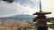 Spring time shot of chureito pagoda in japan