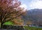 Spring time in Skardu, northern areas of Gilgit Baltistan, Pakistan