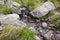 Spring with transparent water among stones, grass