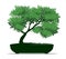 Spring Tree in Pot. Vector outline Illustration. Plant in Garden. Bonsai