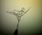 Spring tree silhouette like a ballerina stretching her hand green branches to the sun, tree character, spring harmony