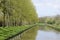 Spring trees along the Nivernais Canal, Burgundy