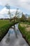 Spring trees reflecting in the small creek at the Dutch countryside around Thorn, The Netherlands