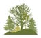 Spring trees. Silhouette of beautiful bare oak, spruces and pine on hill. Vector illustration