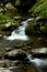 Spring in Tremont at Great Smoky Mountains National Park, TN USA