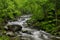 Spring in Tremont at Great Smoky Mountains National Park, TN USA