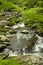 Spring in Tremont at Great Smoky Mountains National Park, TN USA