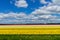 Spring tulip fields in Holland, flowers in Netherlands