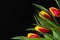 Spring tulip flowers on black background. easter 2020 concept. top view with copy space