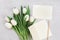 Spring tulip flowers and paper card on gray stone table from above in flat lay style. Greeting for Womens or Mothers Day.