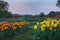 Spring Tulip Garden Arlington Ridge Park Virginia