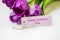 Spring tulips bouquet with Happy mother`s day card label , women`s or mother`s day holiday greeting with label card, beautiful