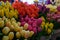 Spring Tulips at Pike Place Market Seattle Wa