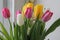 Spring Tulps pink yellow white