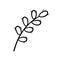 Spring twig easter pussy willow tree. Hand drawn icon in doodle line style.