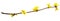 Spring twig of forsythia shrub with yellow flowers