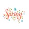 Spring vector lettering