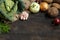 Spring vegetables on a dark background: Savoy cabbage, cauliflower, onion, garlic, kohlrabi, celery root, dill