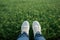 Spring vibes Feet in white sneakers on fresh green grass