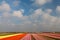 Spring view of colorful Dutch tulip fields