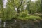 Spring view of Fonti del Clitunno in Umbria, Italy