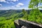 Spring view on the forest and fields