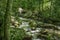 Spring View of Little Stony Creek