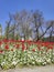 Spring view of National Art Gallery, Sofia, Bulgaria