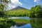 Spring View of Sharp Top Mountain and Abbott Lake