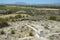 Spring view of the Spanish valley Hoya de Baza