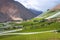 Spring Vineyard. Elqui Valley, Andes