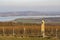 spring vineyard near Pavlov, Southern Moravia