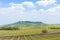 spring vineyard, Palava, Czech Republic