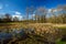 Spring Visited the Floodplain Meadow