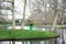 Spring visiting season in Keukenhof park