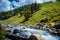 Spring water flowing between alpine meadows on the trek to Hamta Pass, North India