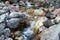 Spring water mountain river and the fantastic stony creek on North Caucasus. mountain natural landscape photo