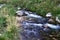 Spring water mountain river and the nice petrous creek on North Caucasus. mountain natural landscape photo