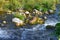 Spring water mountain river and the wonderful stony creek on North Caucasus. mountain natural landscape photo