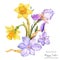 Spring watercolor bouquet with spring flowers