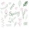 Spring watercolor Set lettering illustration icons leaves garden