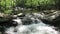Spring Waterfalls at Friends Creek in May
