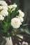 Spring white buttercup flowers in enamel jug, curtain behind