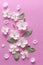 Spring white flowers and light green leaves on textural pink paper. Spring background for design and decoration