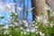 Spring white wildflowers in the forest. Forest landscape with sunbeams. Natural concept