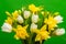 Spring White yellow tulip daffodil bouquet on green background. Easter and spring . Woman day concept. Copyspace for