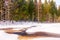 Spring-winter landscape of coniferous forest against the background of the river and snowdrifts.