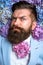 Spring. womens day. male with hydrangea flowers. Mature hipster with beard. Healthy hair and skin. brutal caucasian