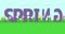 Spring word text seasonal animation. 4K resolution. Spring word and tulips animation video. Copy space